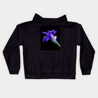 Purple Iris Kids Hoodie